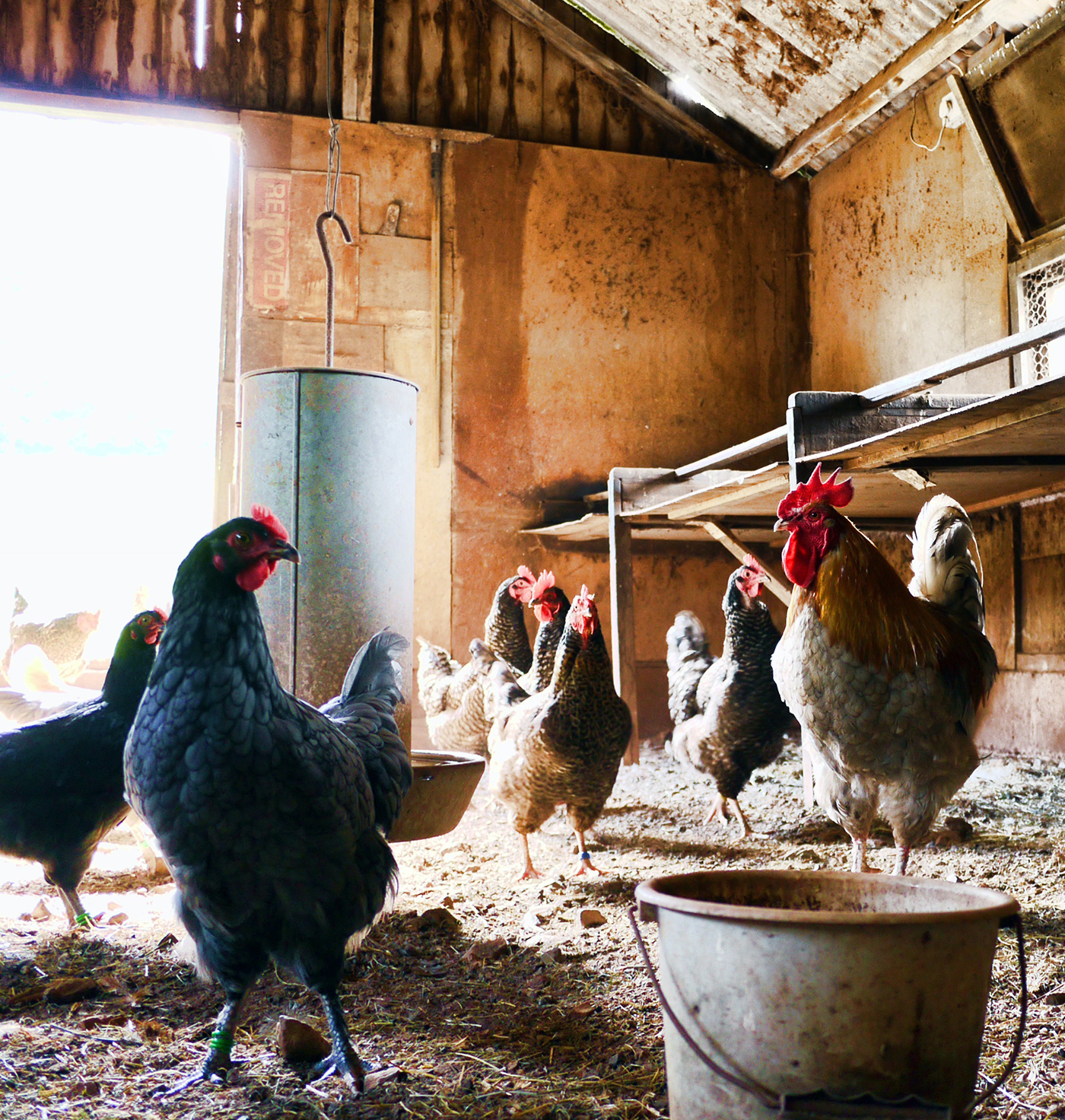 Working in agriculture industry Working in agriculture industry