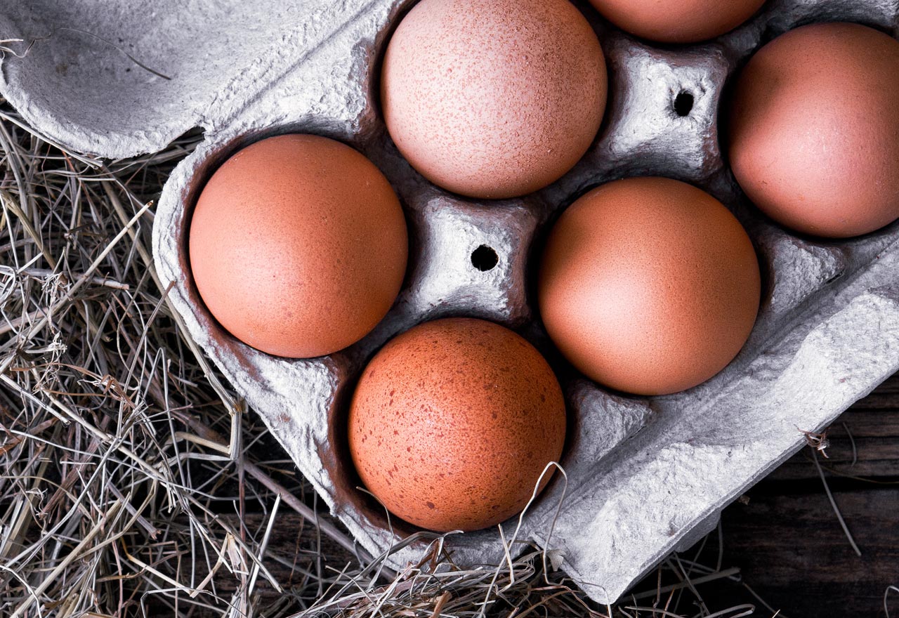 Organic Eggs