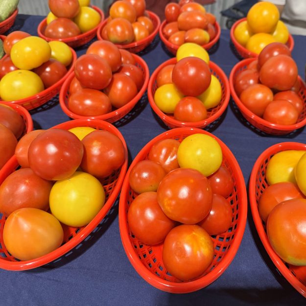 M&Y Lite Farm