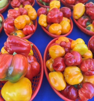 Bell Peppers