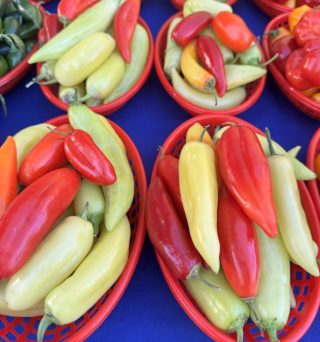 Sweet Bananas