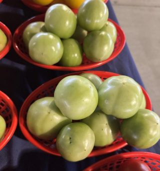 Green Tomatoes