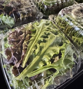 Leaf lettuce