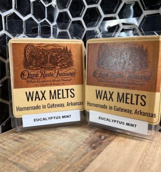 Eucalyptus Mint Wax Melts